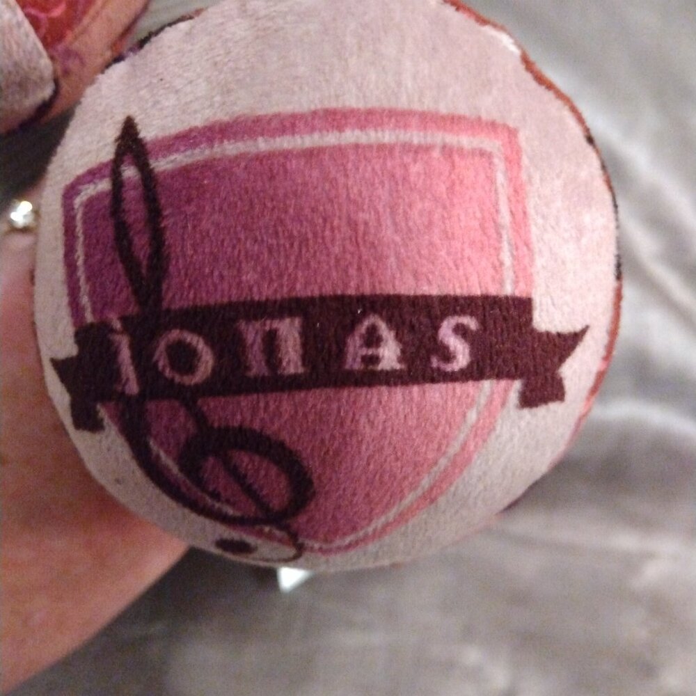 Build a bear jonas brothers - Picture 5 of 5